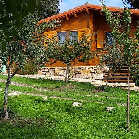 Apartamento Del Cortino Monleras