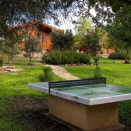 Del Cortino Monleras