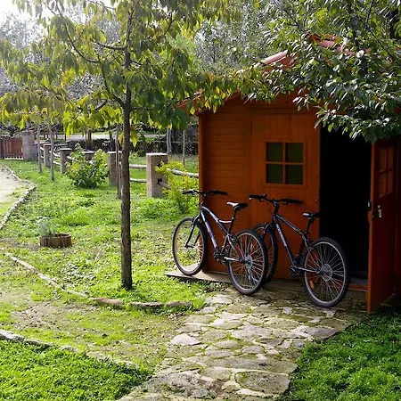 Apartamento Del Cortino Monleras