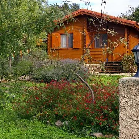 公寓 Del Cortino Monleras
