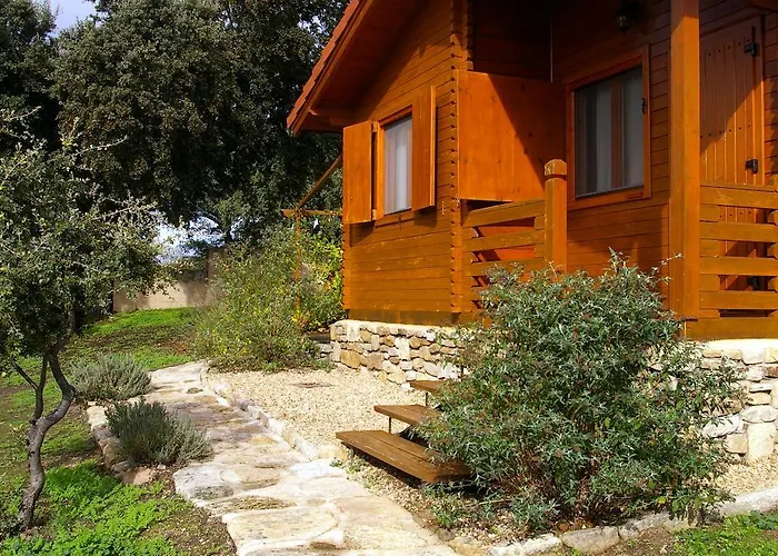 Del Cortino Monleras